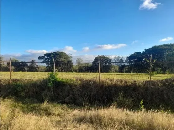 DESCRIPCION DETALLADA: Ideal para producción, almacenaje y distribución, tiene ..., photo 4