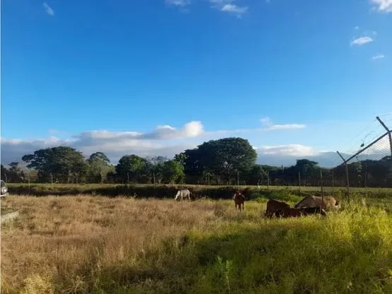 DESCRIPCION DETALLADA: Ideal para producción, almacenaje y distribución, tiene ..., photo 8