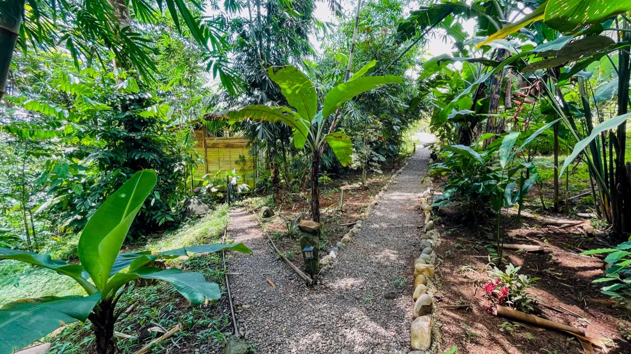 CABIN OF ONE BEDROOM WITH EXTRA BUILDING LOT NEAR TO THE RIVER,  IN OJOCHAL – 1.73 ACRES, photo 24