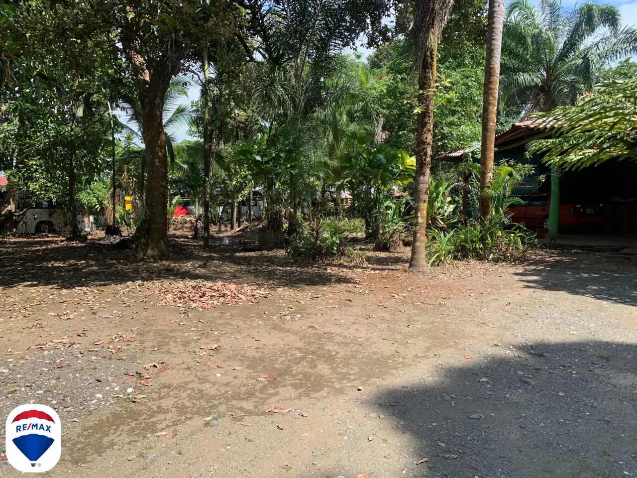 Puerto Jimenez commercial property for sale - REMAX Jungle Properties | Pavones Golfito Real Estate, photo 3