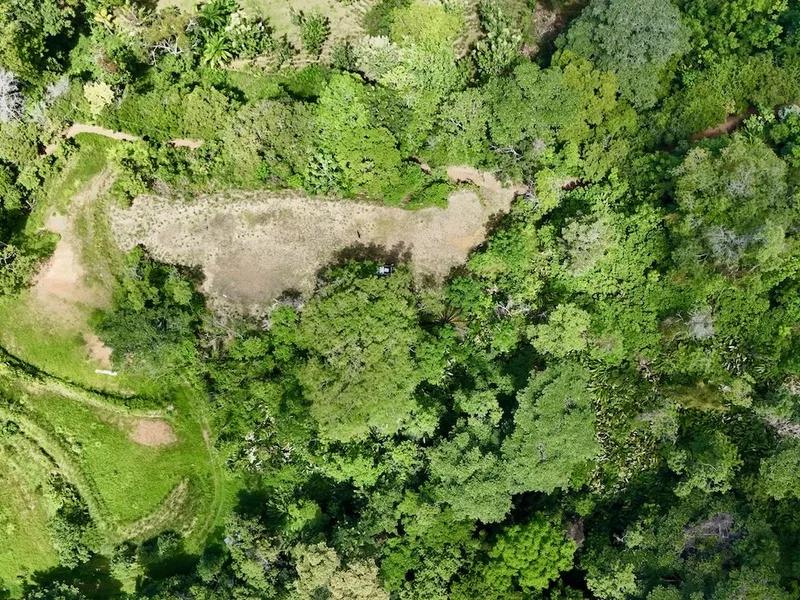 Land For Sale in Uvita