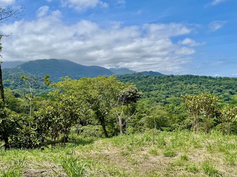 Land For Sale in Uvita, photo 18