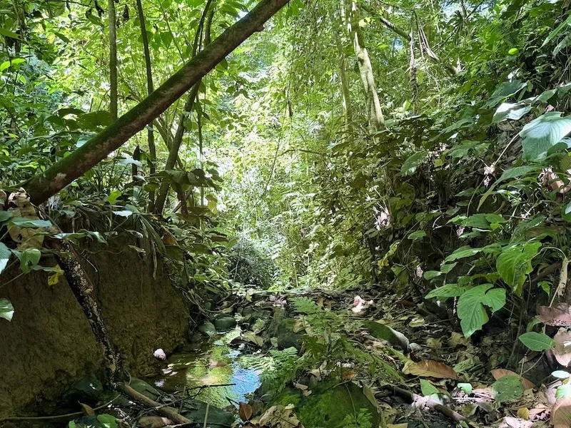 Land For Sale in Uvita, photo 22