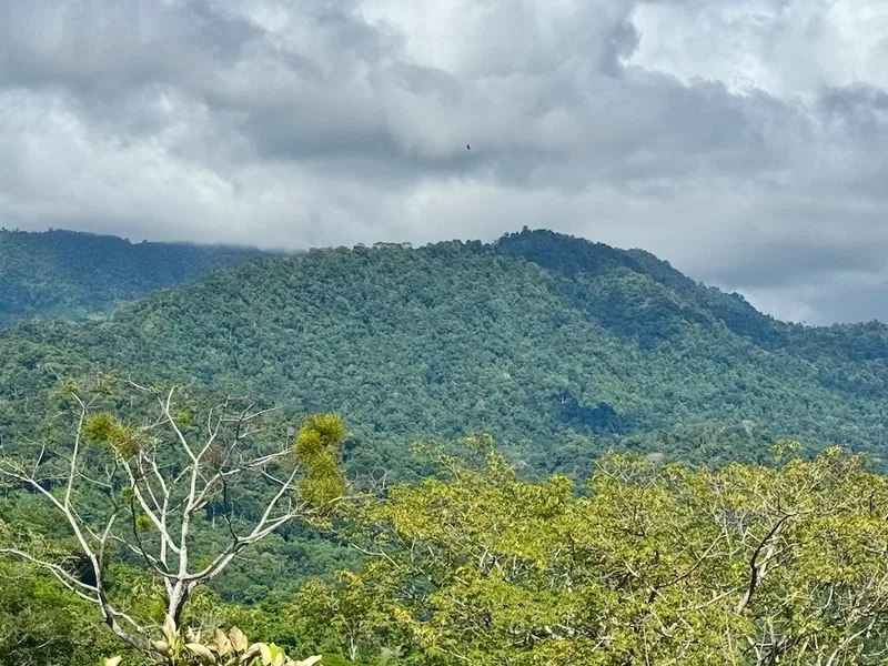 Land For Sale in Uvita, photo 28