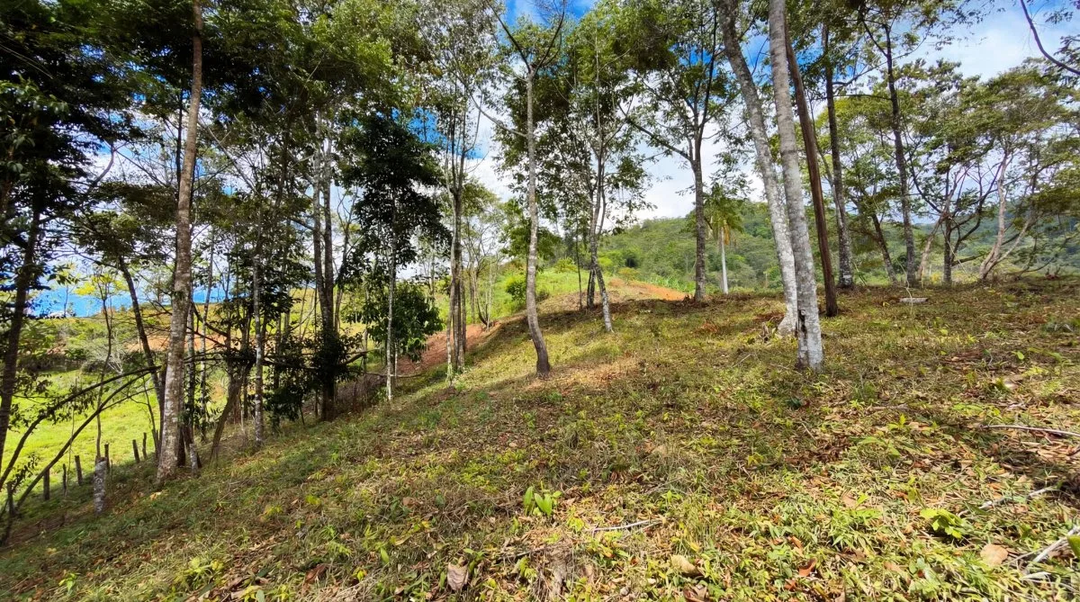 SE VENDE LOTE EN EXCLUSIVO PROYECTO CON HERMOSAS VISTAS A LA MONTAÑA - Venta en Pérez Zeledón, photo 12