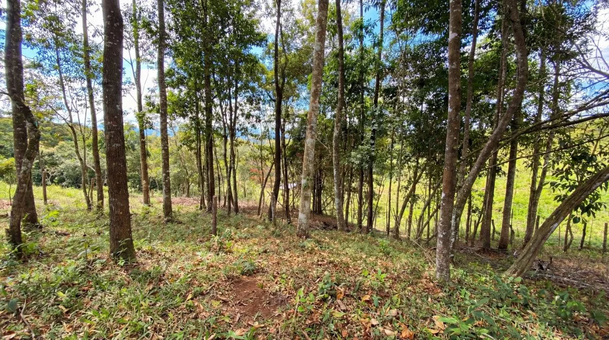 SE VENDE LOTE EN EXCLUSIVO PROYECTO CON HERMOSAS VISTAS A LA MONTAÑA - Venta en Pérez Zeledón, photo 13