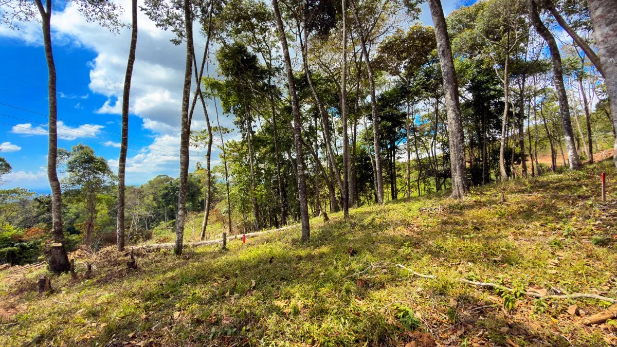 SE VENDE LOTE EN EXCLUSIVO PROYECTO CON HERMOSAS VISTAS A LA MONTAÑA - Venta en Pérez Zeledón, photo 8