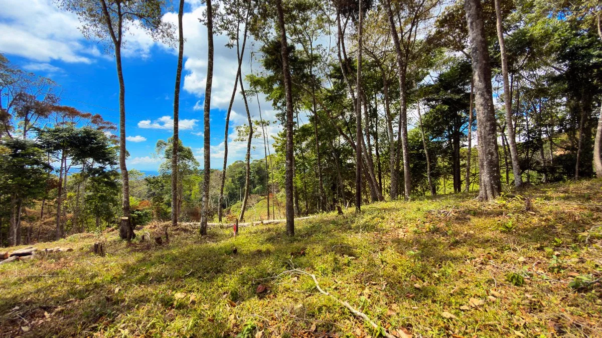 SE VENDE LOTE EN EXCLUSIVO PROYECTO CON HERMOSAS VISTAS A LA MONTAÑA - Venta en Pérez Zeledón, photo 10