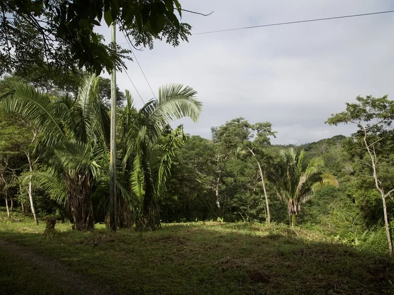 Land For Sale in Punta Islita Pacific, photo 4