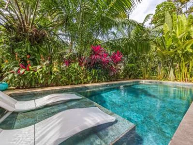 CASA PALMA VERDE, photo 7