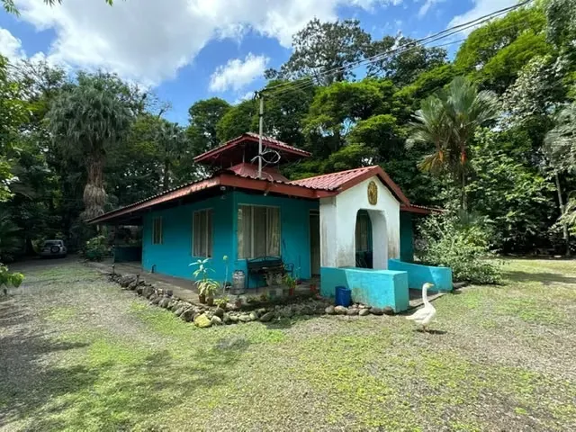 For sale in Sarapiqui beautiful Farm, photo 12