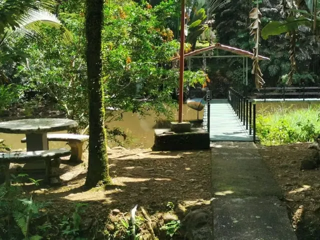 For sale in Sarapiqui beautiful Farm, photo 6