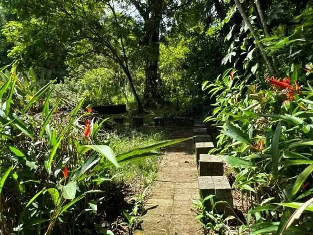 For sale in Sarapiqui beautiful Farm, photo 7