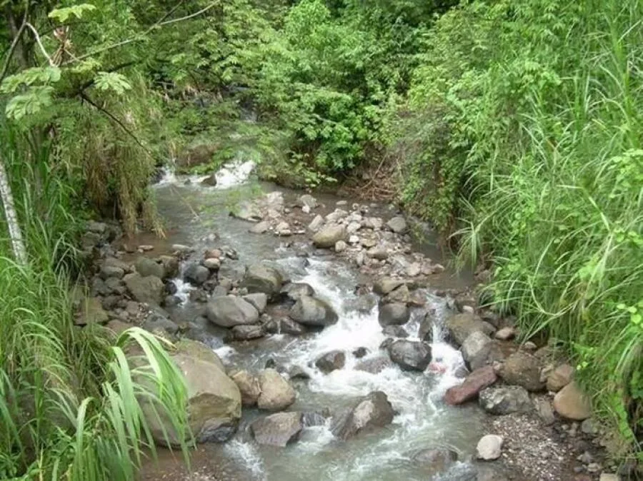 Venta de Finca en Puriscal, San José. - Venta en Puriscal, photo 14