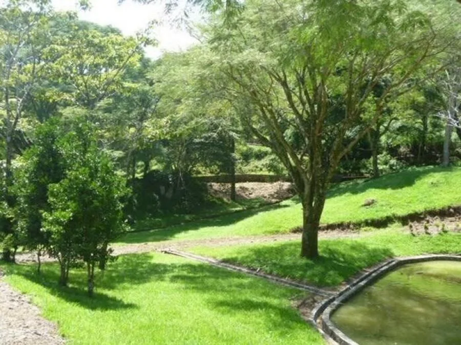 Venta de Finca en Puriscal, San José. - Venta en Puriscal, photo 15