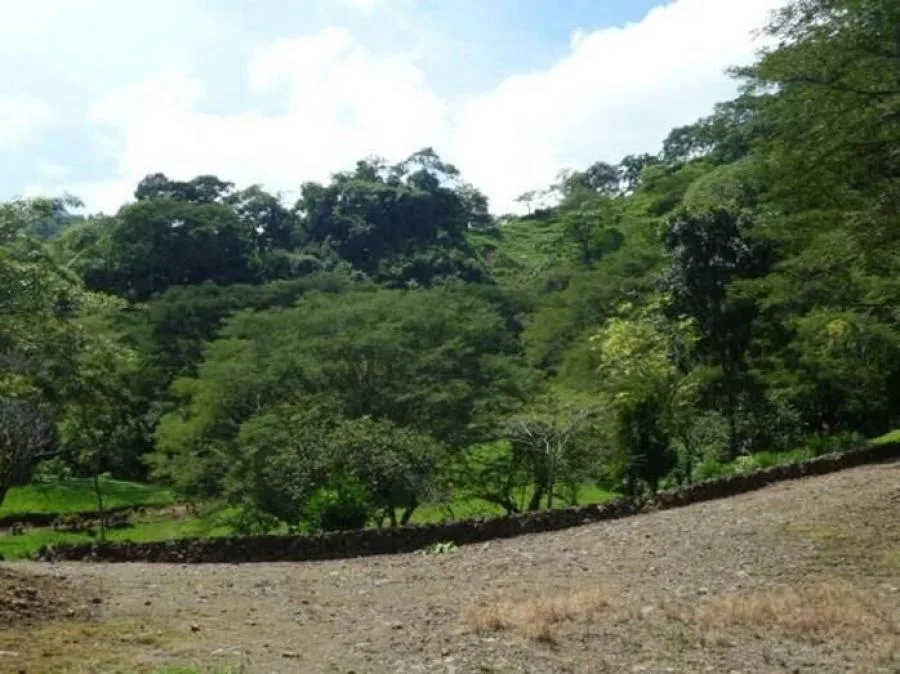 Venta de Finca en Puriscal, San José. - Venta en Puriscal, photo 6