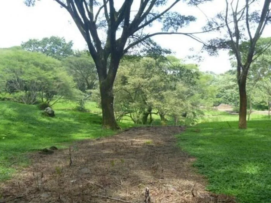 Venta de Finca en Puriscal, San José. - Venta en Puriscal, photo 7