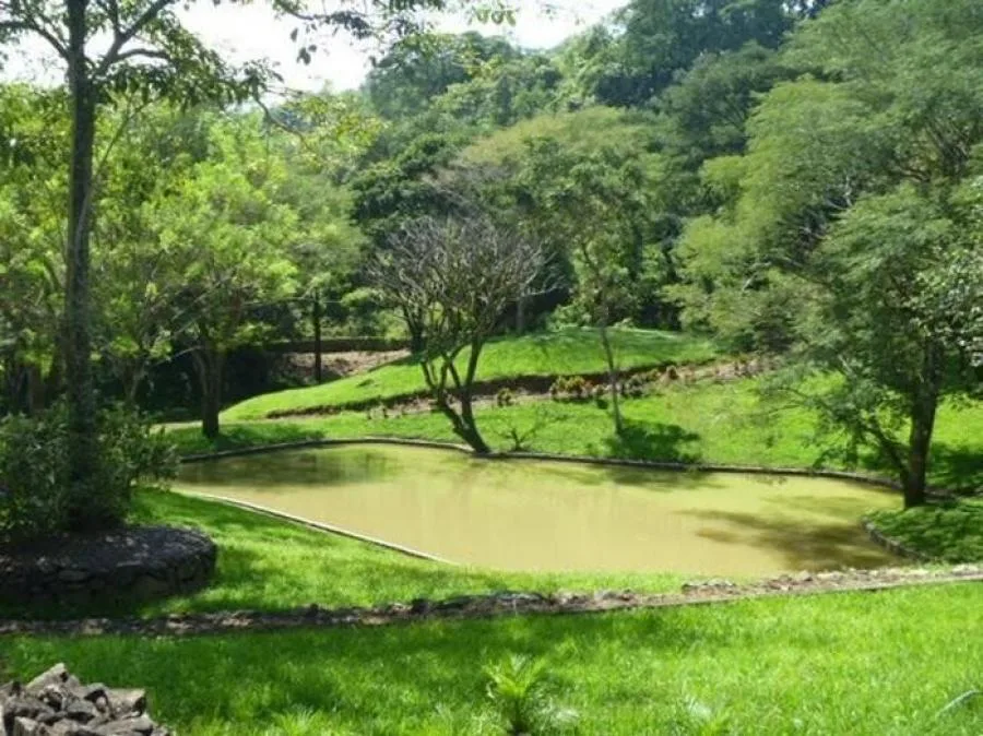 Venta de Finca en Puriscal, San José. - Venta en Puriscal, photo 8