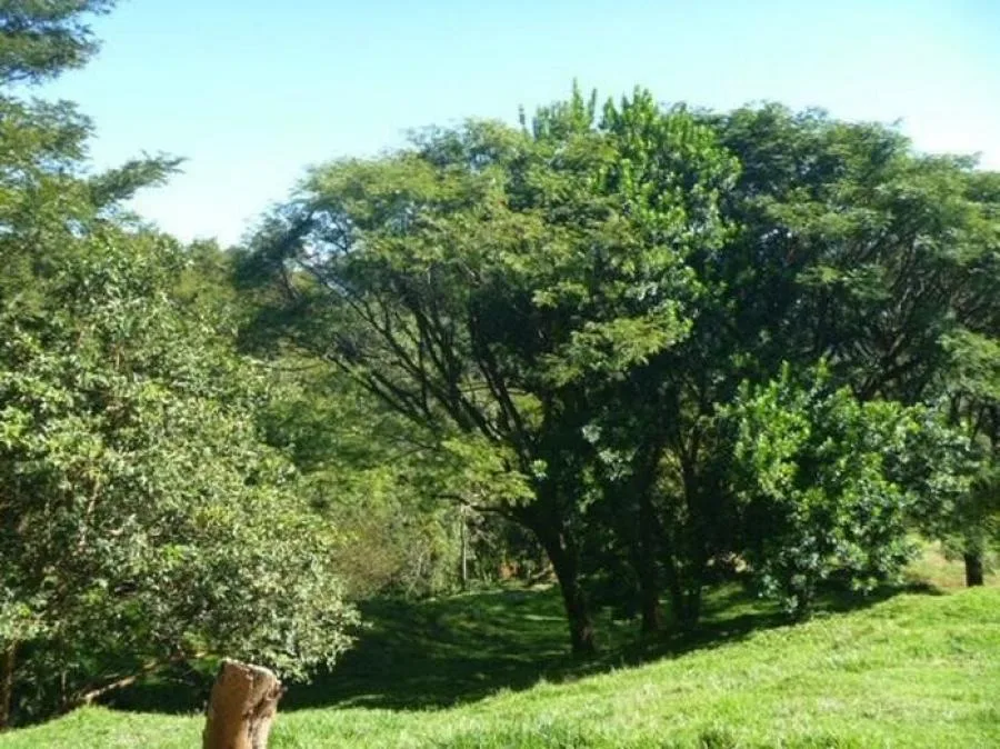 Venta de Finca en Puriscal, San José. - Venta en Puriscal, photo 10