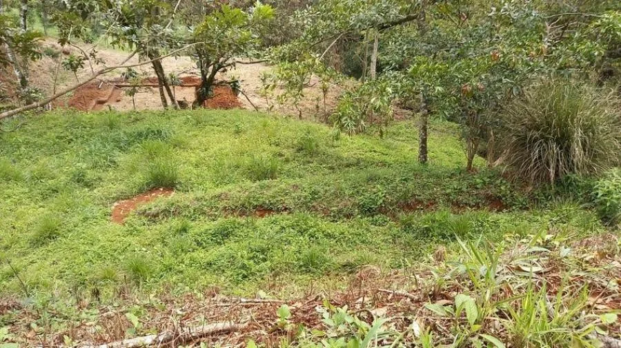 Venta de Lote en Puriscal, San José. - Venta en Puriscal