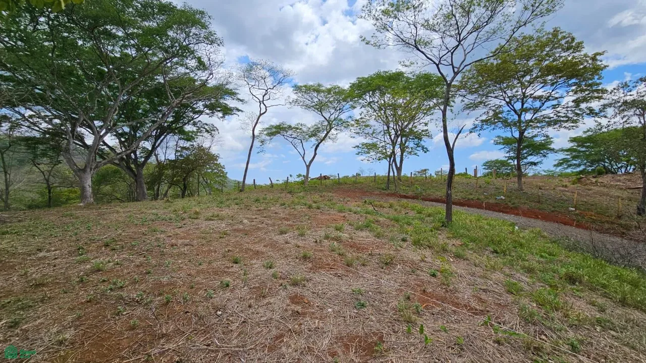 San Francisco, Veinticiete De Abril, Guanacaste 50303