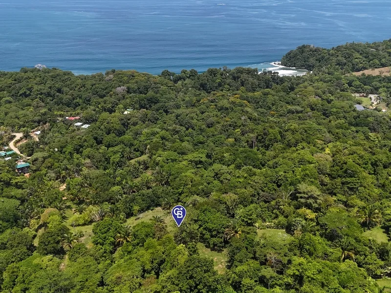 Land For Sale in Uvita, photo 2