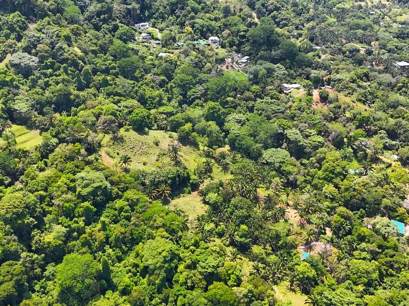 Land For Sale in Uvita, photo 13