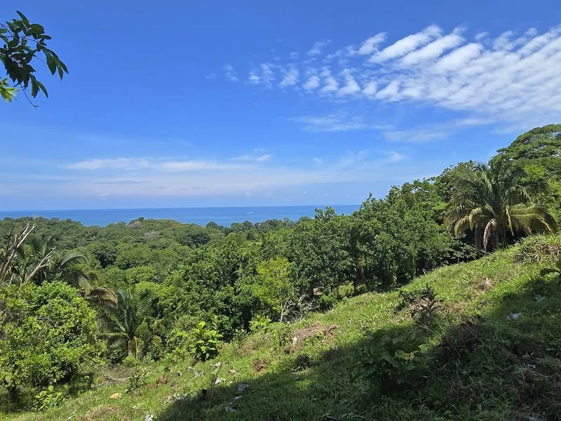 Land For Sale in Uvita, photo 14