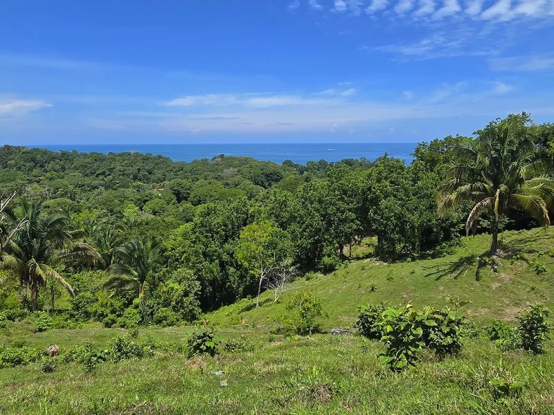 Land For Sale in Uvita, photo 4