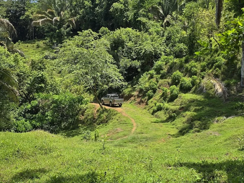 Land For Sale in Uvita, photo 6