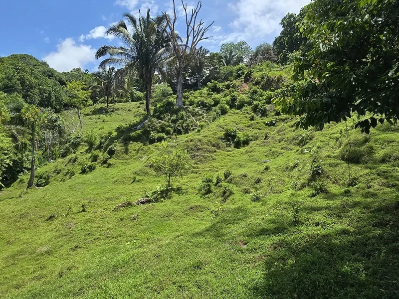 Land For Sale in Uvita, photo 7