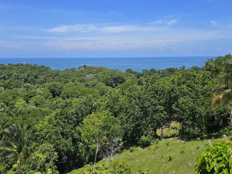 Land For Sale in Uvita, photo 8