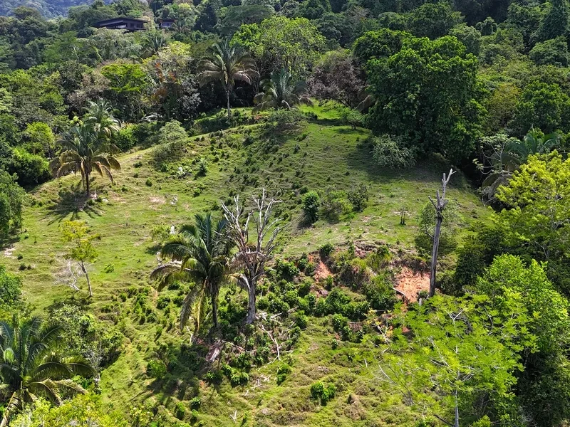 Land For Sale in Uvita, photo 9