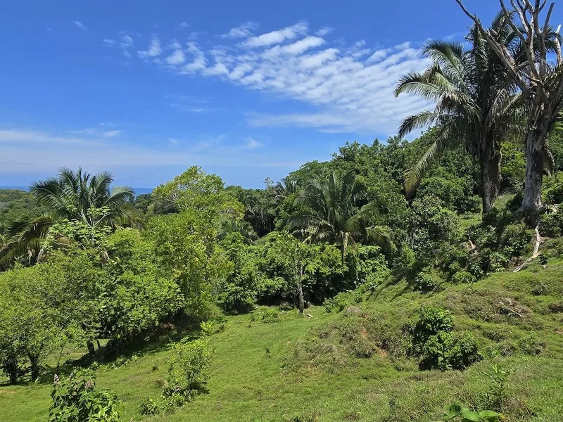 Land For Sale in Uvita, photo 10