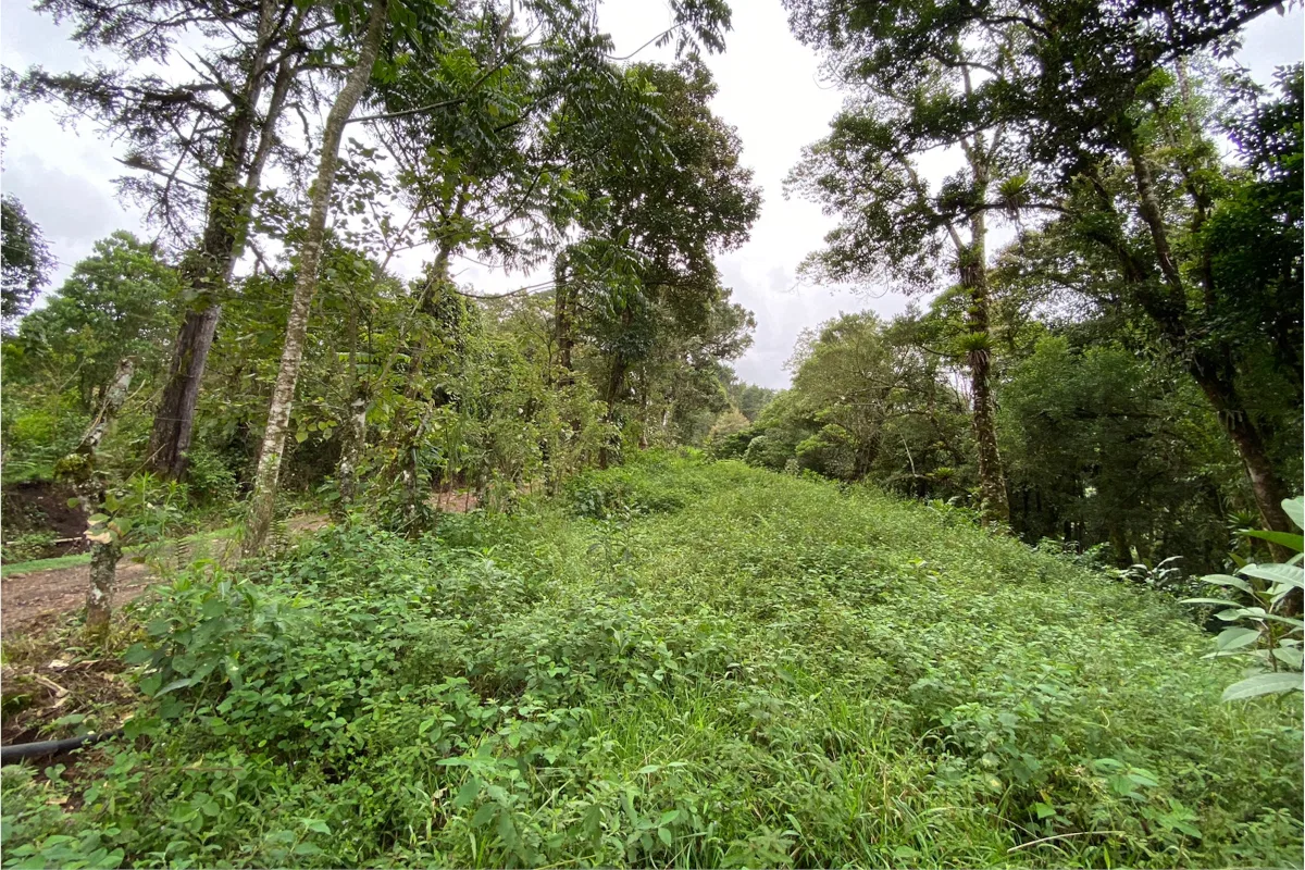 FRAIJANES DE ALAJUELA