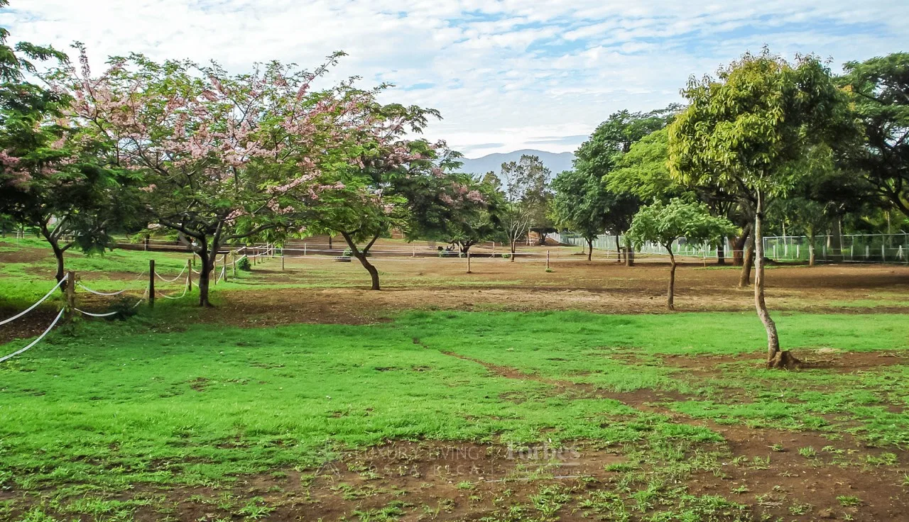 Lote 16,528m2, San Rafael Alajuela, uso mixto