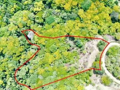 Paraíso panorámico con vistas al océano: Finca de 4,2 acres en la cima de una colina en Platanillo