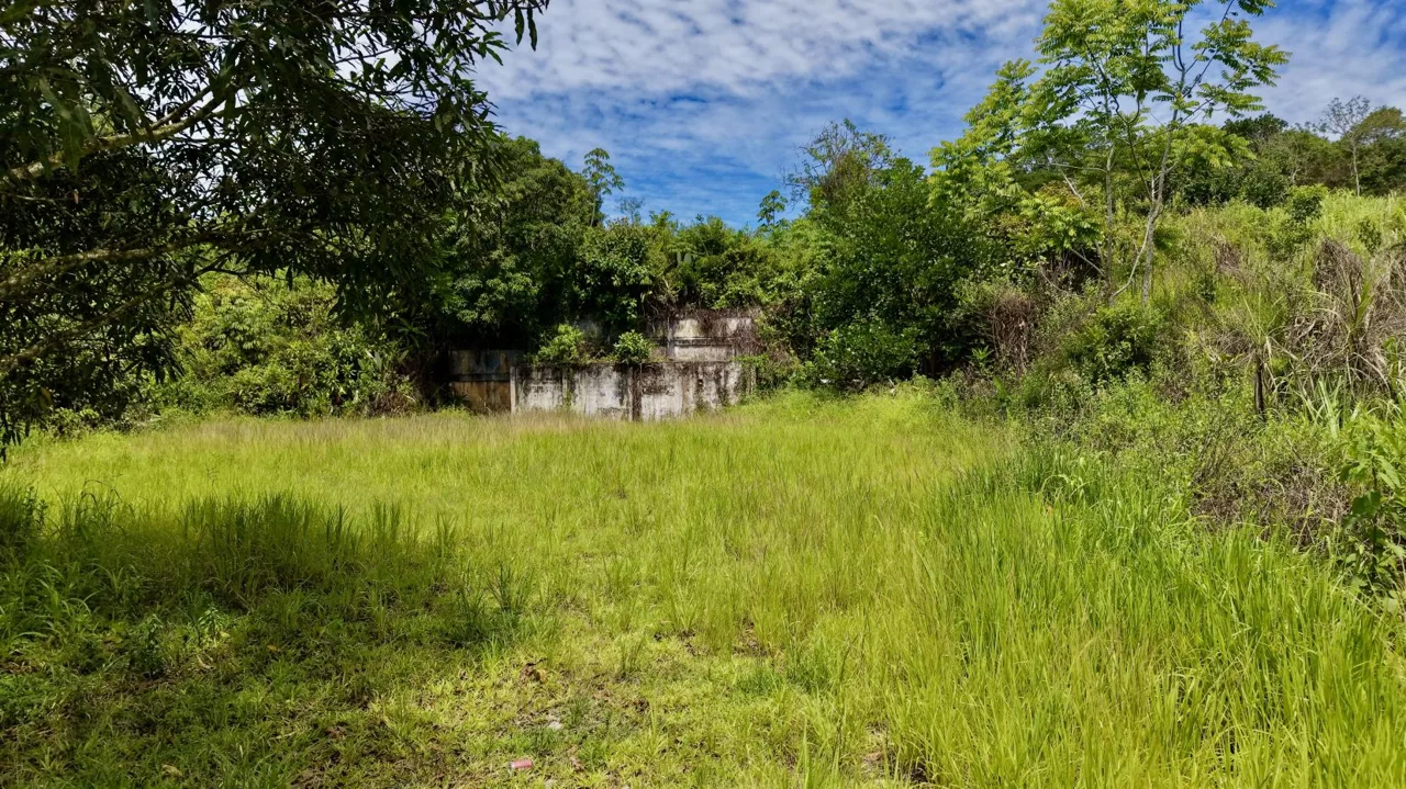 Prime Commercial Development Land for Sale in Repunta, Pérez Zeledón, photo 11