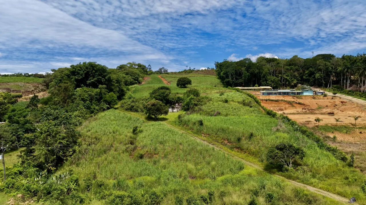 Prime Commercial Development Land for Sale in Repunta, Pérez Zeledón, photo 13