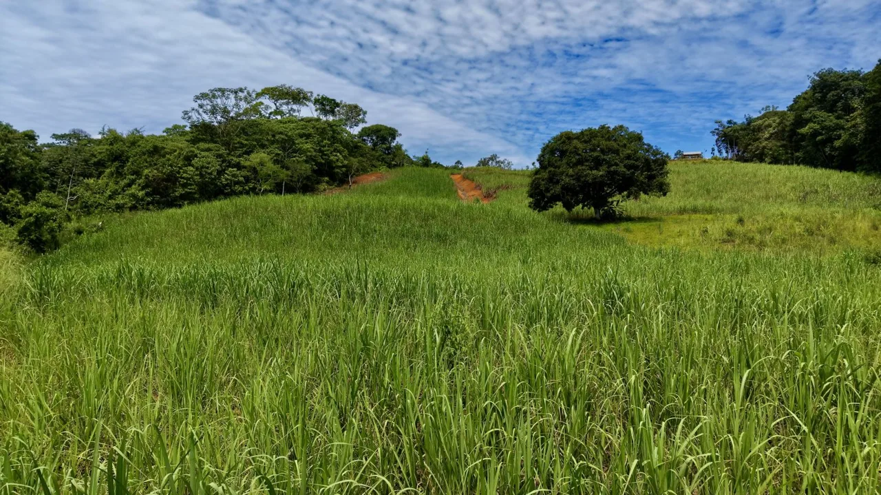 Prime Commercial Development Land for Sale in Repunta, Pérez Zeledón, photo 14