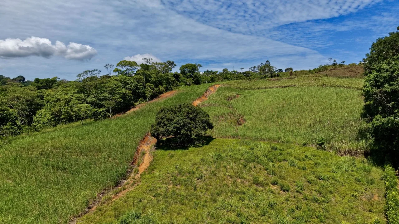 Prime Commercial Development Land for Sale in Repunta, Pérez Zeledón, photo 7