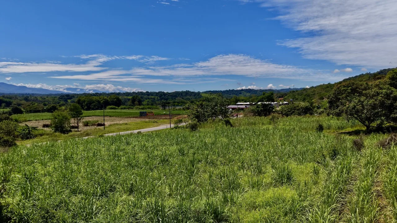 Prime Commercial Development Land for Sale in Repunta, Pérez Zeledón, photo 10