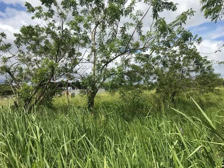 Development Parcel in Liberia