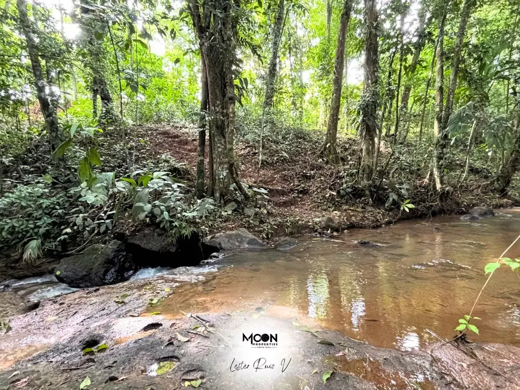 A solo 20 minutos de La Fortuna, este lote ofrece lo mejor de la naturaleza y la tranquilidad., photo 11
