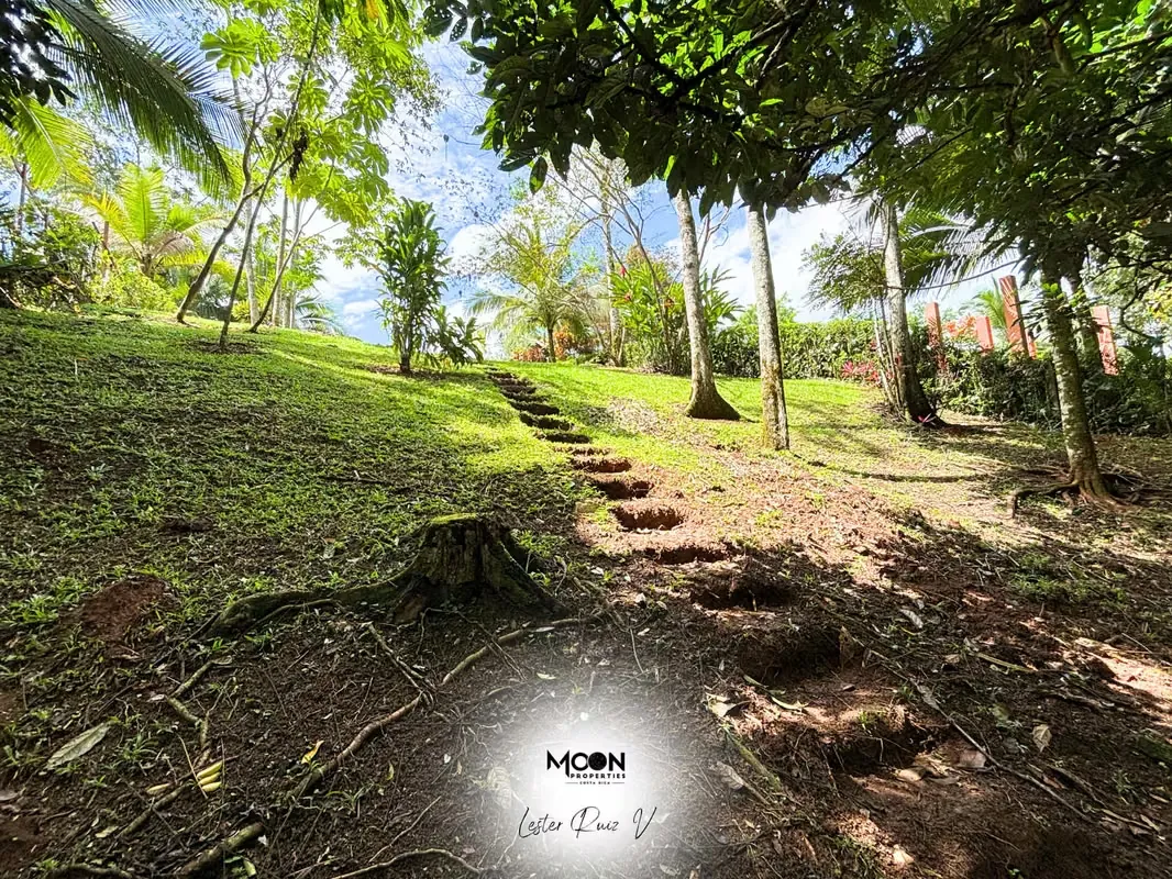 A solo 20 minutos de La Fortuna, este lote ofrece lo mejor de la naturaleza y la tranquilidad., photo 9