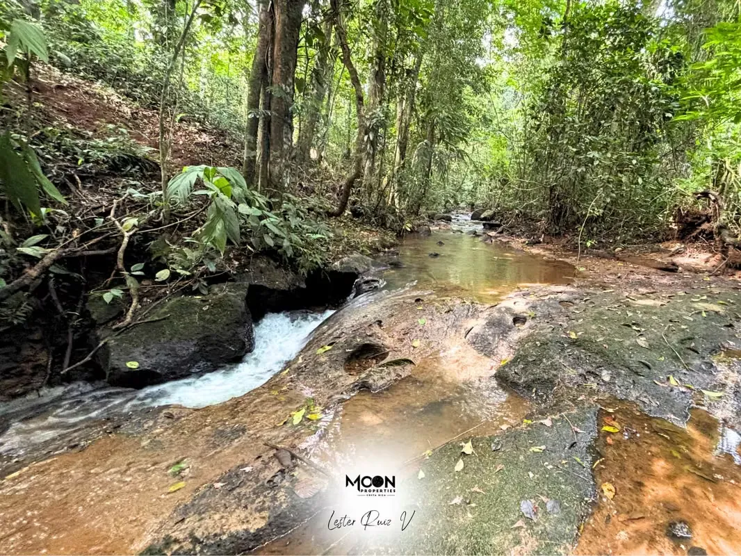 A solo 20 minutos de La Fortuna, este lote ofrece lo mejor de la naturaleza y la tranquilidad., photo 10