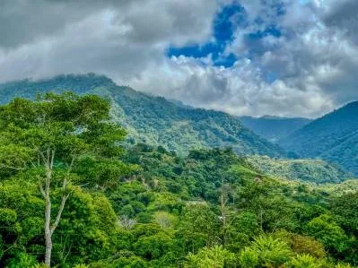 Spectacular Ocean View In Tres Rios, Ready To Build & Close to Beaches!!, photo 4