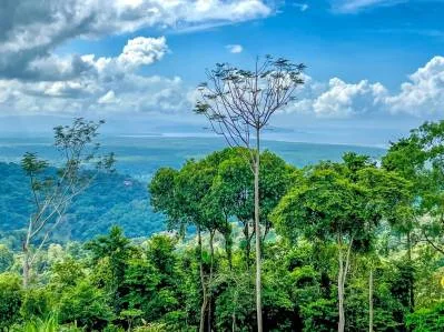 Spectacular Ocean View In Tres Rios, Ready To Build & Close to Beaches!!, photo 5