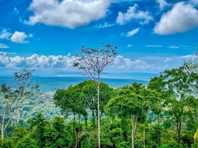 Spectacular Ocean View In Tres Rios, Ready To Build & Close to Beaches!!, photo 10