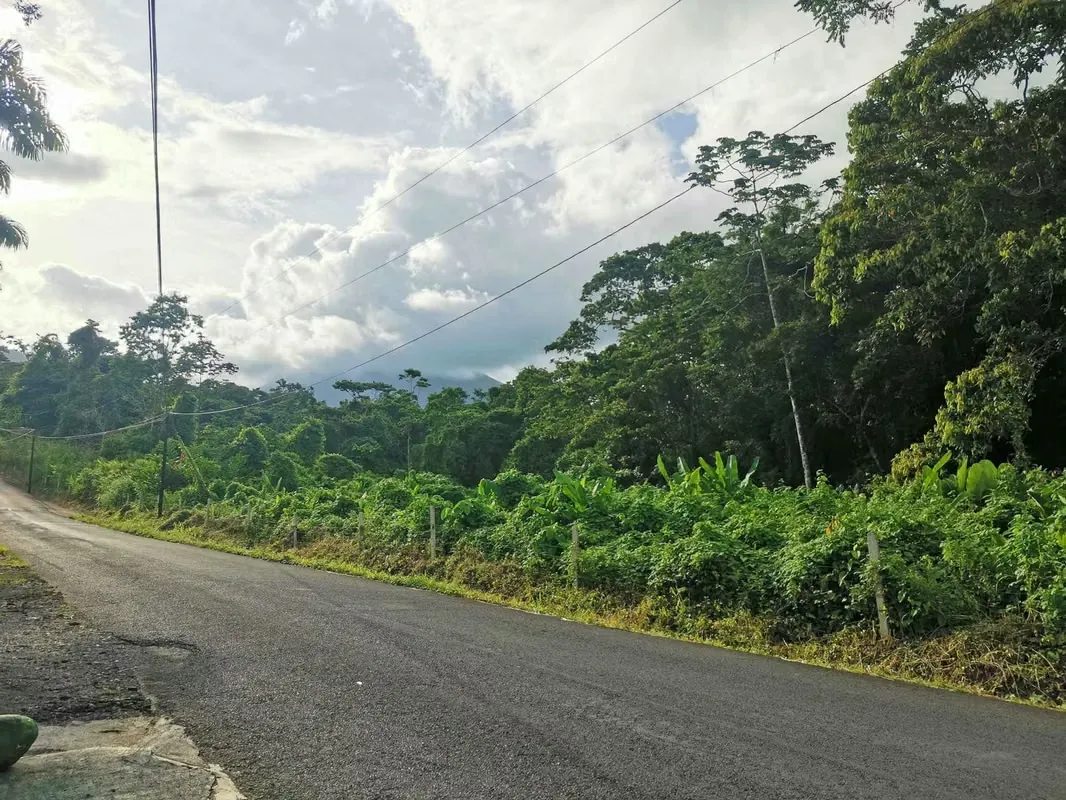 House for Sale in La Fortuna Ideal for Hostel or Airbnb Tourism Development, photo 9